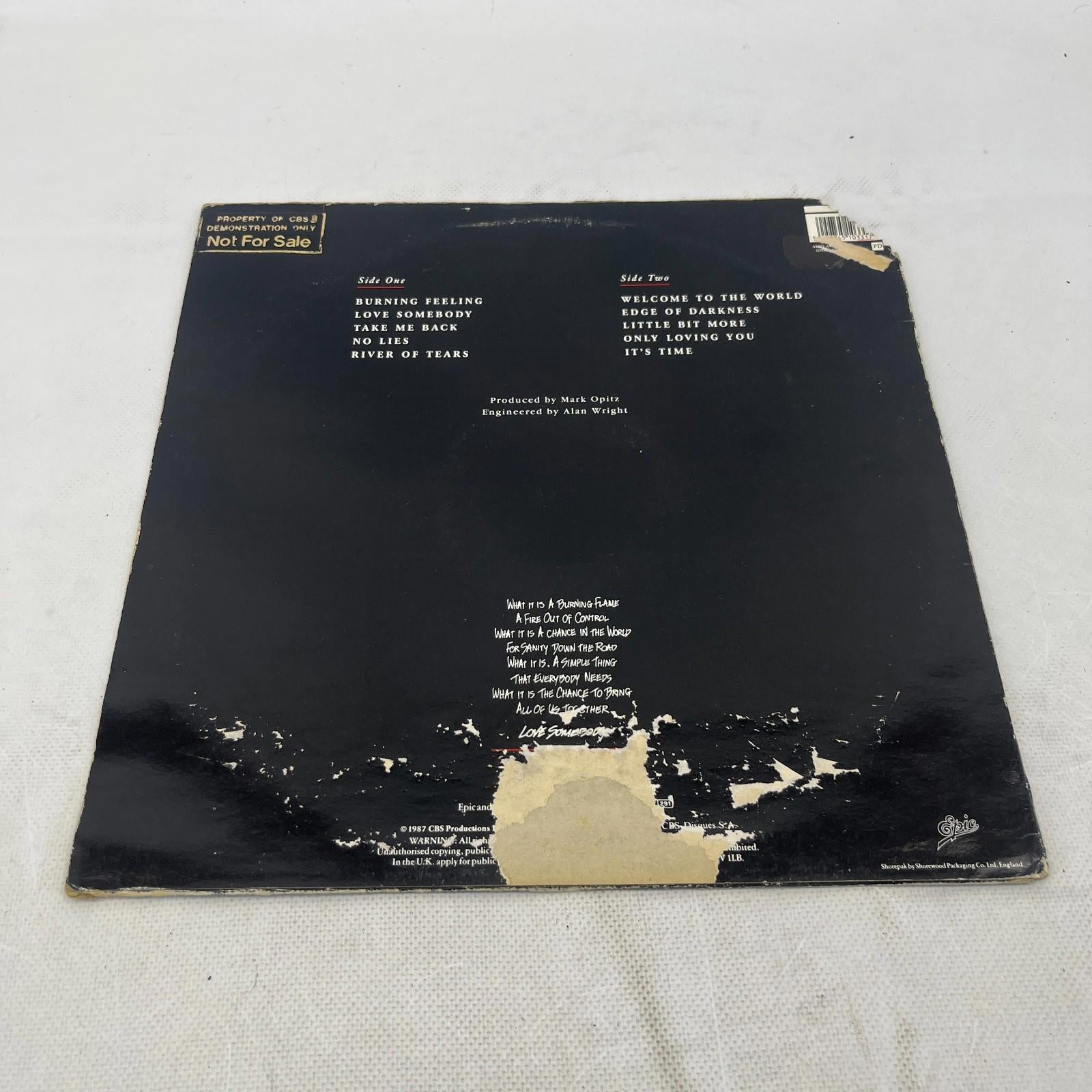 Rare Noiseworks 12" Vinyl Album LP Record Company Demo VG+/VG