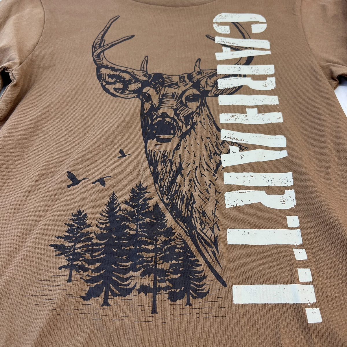 Carhartt Kids Khaki Brown Graphic Print Long Sleeve T-Shirt size 5 years - New