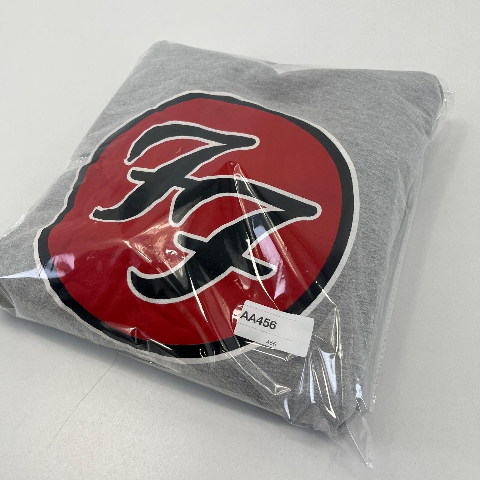 2023 Foo Fighters Hoodie in Grey size Large - Made in UK